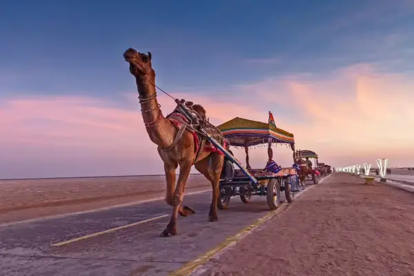 Gujarat Tour Packages